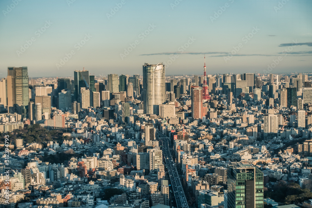 Beautiful landscape of Tokyo, skyscrapers under blue sky.