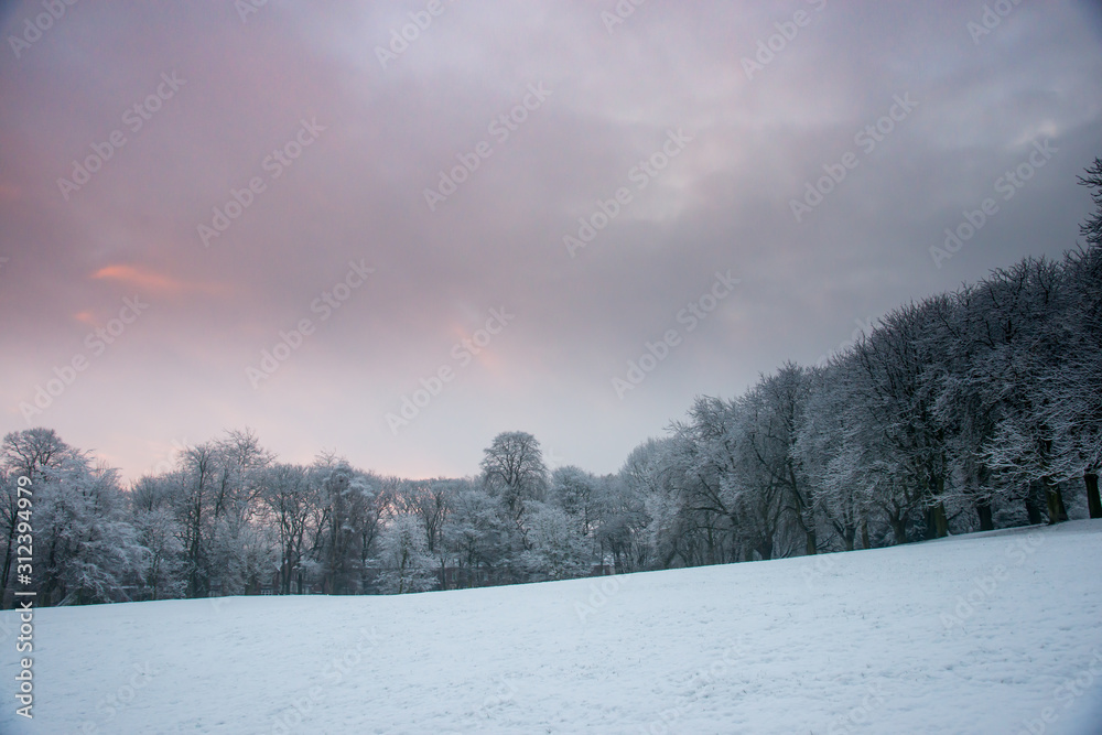 Fototapeta premium Wakefield Park in the Snow