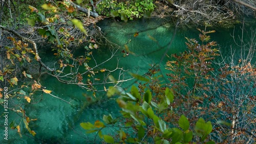 Autumn Leaves and a Green Lake in Plitvice Lakes National Park