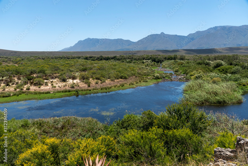 Swellendam, Western Cape, South Africa. December 2019. The Breede River viewed from Aloe Hill, Bontebok on the Garden Route.