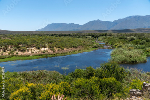 Fototapeta Naklejka Na Ścianę i Meble -  Swellendam, Western Cape, South Africa. December 2019. The Breede River viewed from Aloe Hill, Bontebok on the Garden Route.