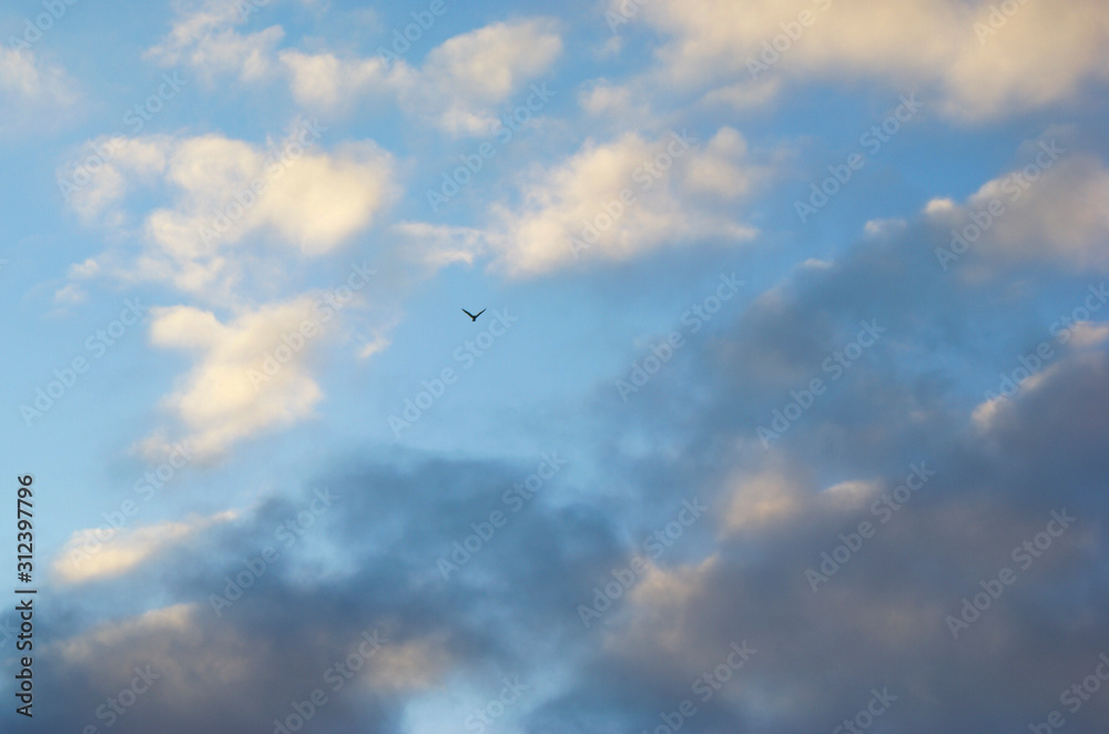 blue sky with clouds