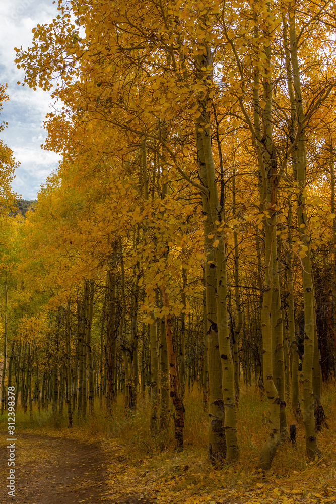 Fototapeta premium Lundy lake fall colors, California