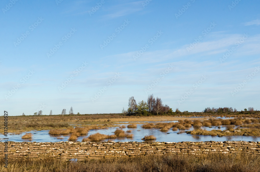 Fototapeta premium Flooded landscape by an old dry stone wall