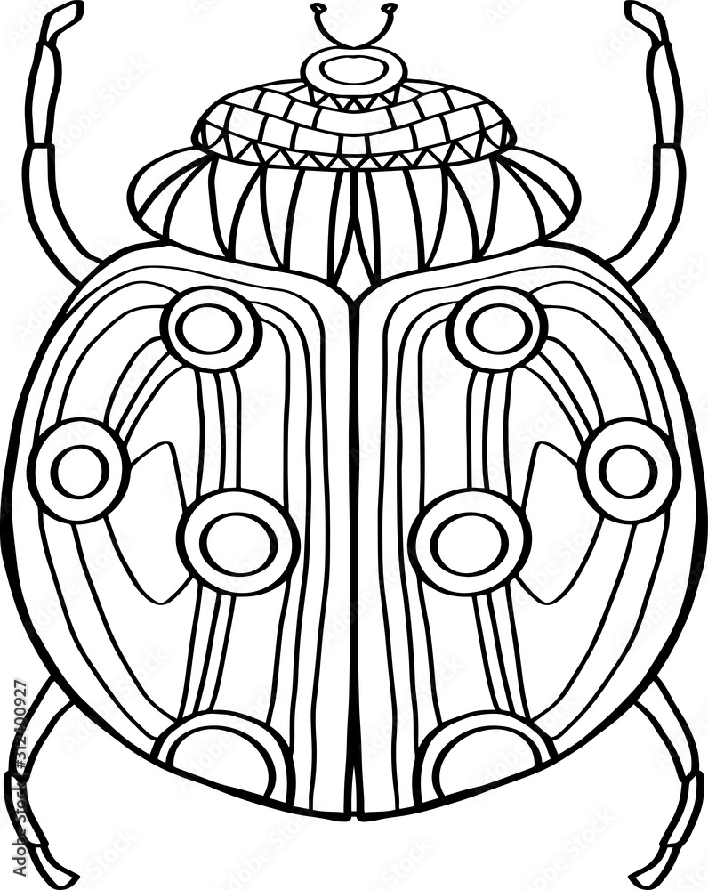 Hand-drawn vector Ladybug. Ladybug Drawn Black Outline Thin Line on White Background. Coloring pages. Hand-drawn vector Ladybug. Ladybug Drawn Black Outline Thin Line on White Background. Coloring pages.