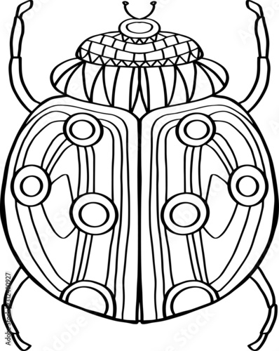 Hand-drawn vector Ladybug. Ladybug Drawn Black Outline Thin Line on White Background. Coloring pages.