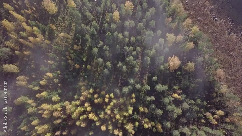 Vertical aerial view of fog moving above forest with autumn foliage Vertical aerial view of fog moving above forest with autumn foliage