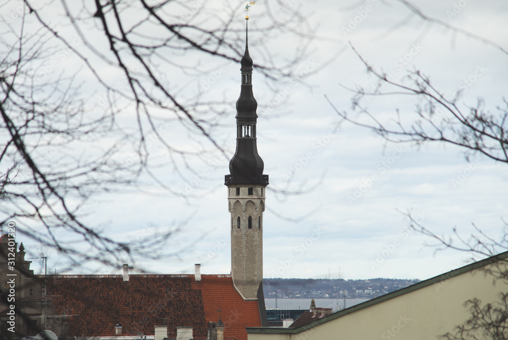 Obraz premium Tall medieval tower of Tallinn city hall.