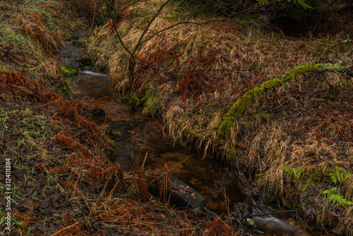 Upper watercourse of Bilina river in Krusne hory mountains in winter day