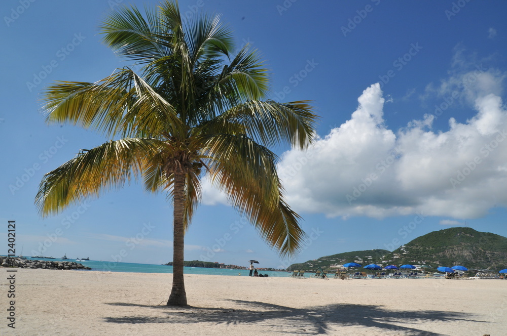 relax on the beach,caribbean island