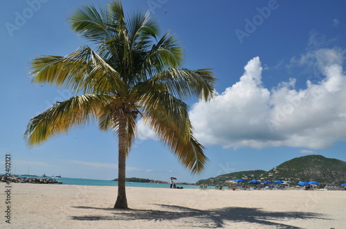 relax on the beach caribbean island