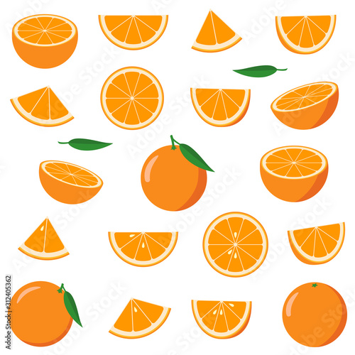 Collection of oranges. Vector illustration.
