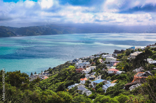 View over the capital Wellington from Mount Victoria, North Island, New Zealand