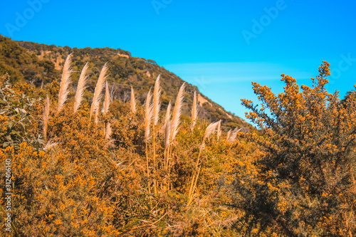 Putangirua Pinnacles in Wairarapa, North Island, New Zealand photo