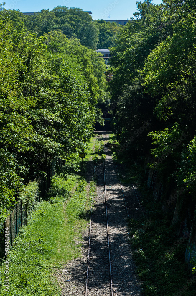 Naklejka premium Parc des Buttes Chaumont