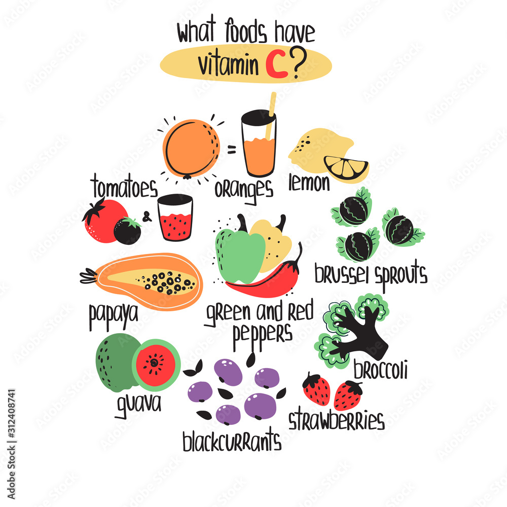 Hand drawn vitamin C ascorbic acid food sources: lemon, orange, guava, blackberry, papaya, broccoli, brussel sprouts. Vector illustration is for pharmacological or medical poster, brochure.
