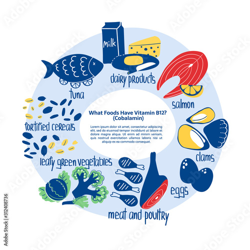 Hand drawn vitamin B12 cobalamin food sources concept: tuna, salmon, animal liver, vegetables, clams, meat and poultry, dairy products. Vector illustration is for pharmalogical or medical poster.