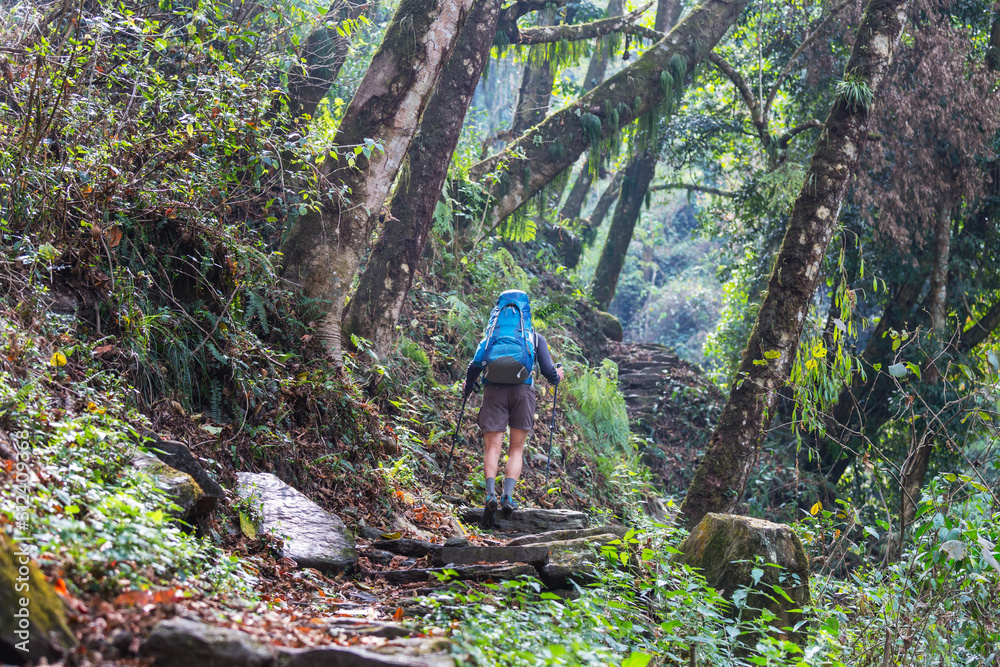 Hike in Nepal jungle Hike in Nepal jungle