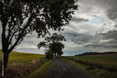 hiking - on the way on a stormy day