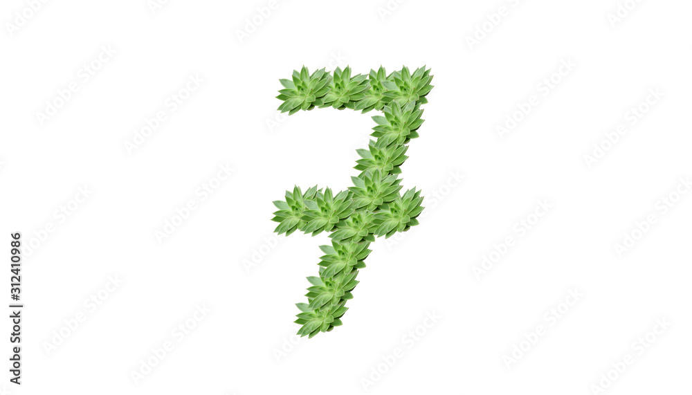7 , chiffre en plante verte sur fond blanc