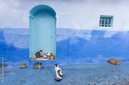 Typical moroccan accommodation in blue town Chefchaouen, Morocco, Africa View of a traditional Riad (house) Islamic indoor architecture Most popular for travellers and tourists. © Michal