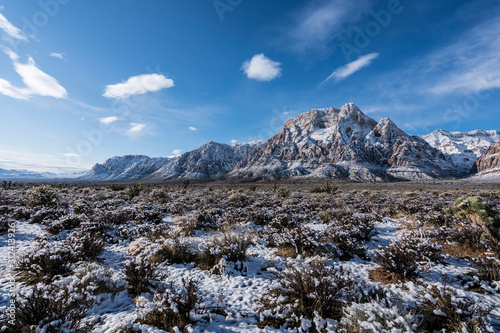 Winter desert snow on Mt Wilson at Red Rock Canyon National Conservation Area. A popular natural area 20 miles from Las Vegas, Nevada. 