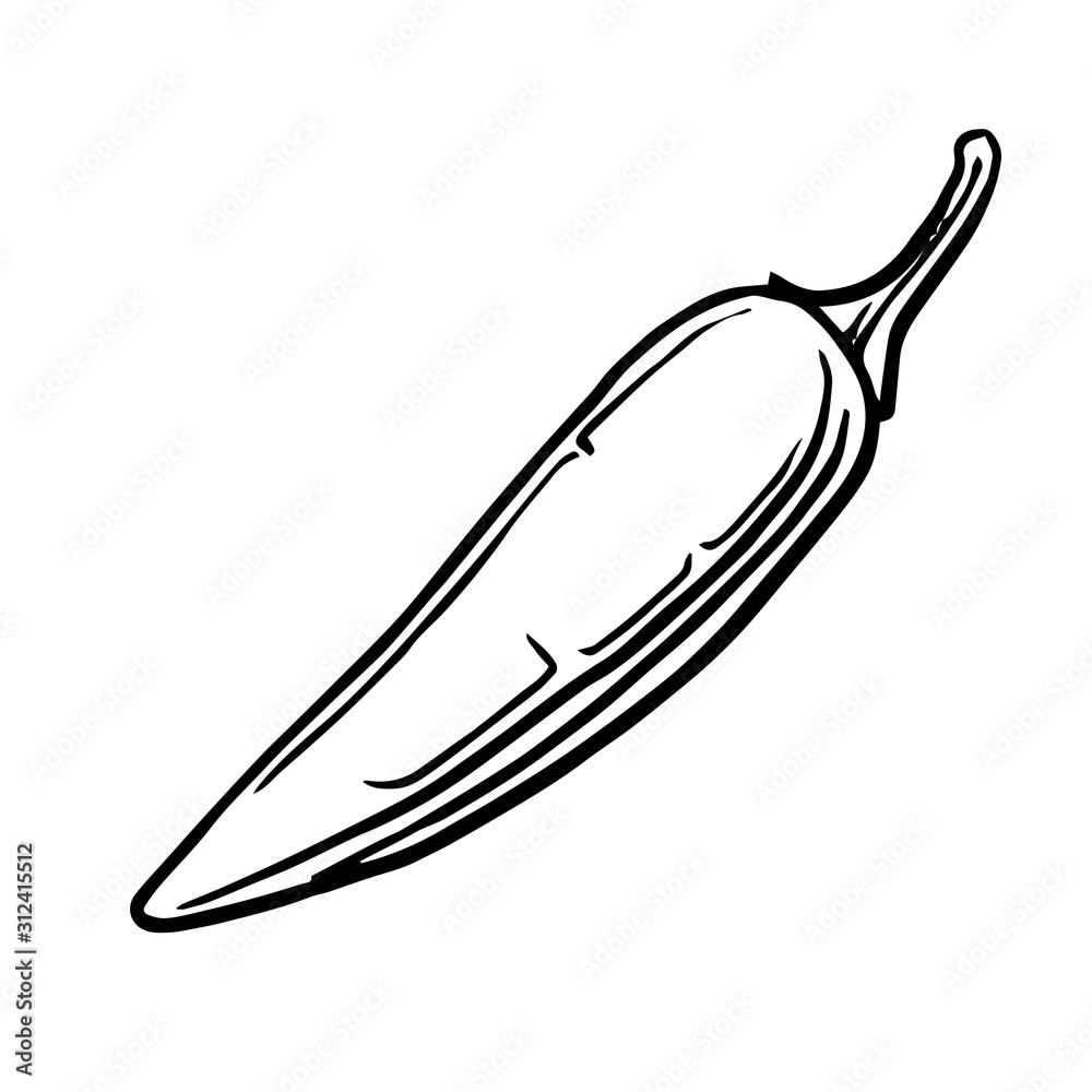 Spicy pepper. Vector. Outline drawing of a vegetable on a white background. Sketch. Drawing marker on paper. Isolated object. Spicy pepper. Vector. Outline drawing of a vegetable on a white background. Sketch. Drawing marker on paper. Isolated object.