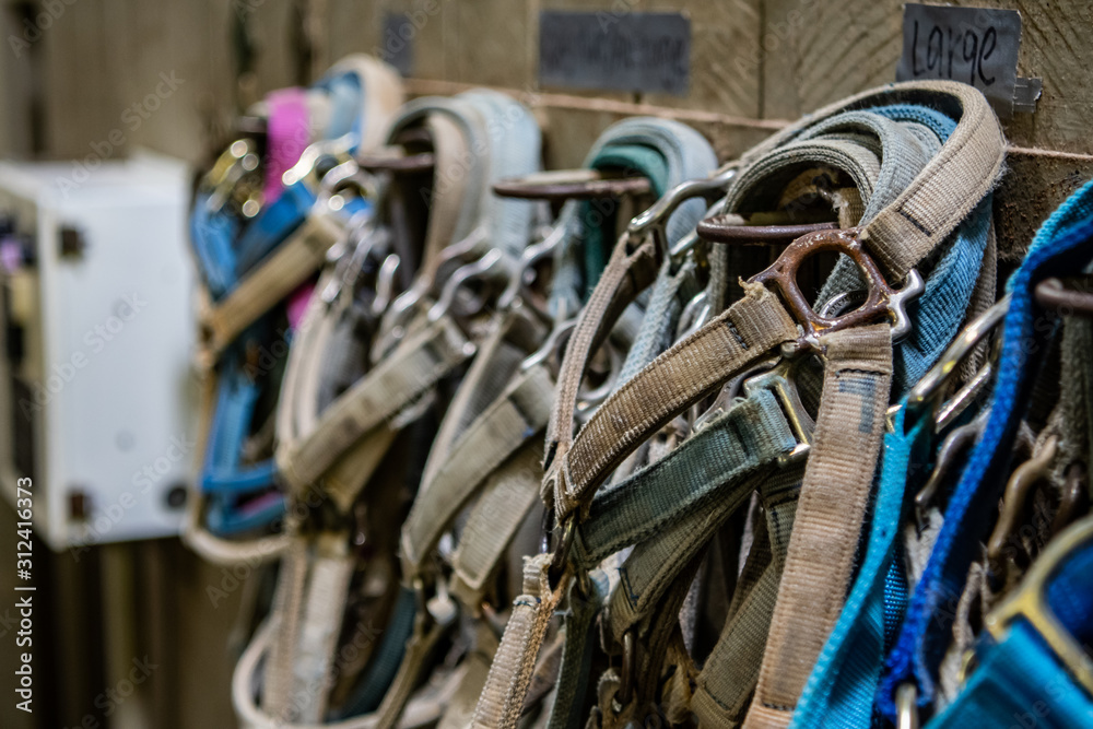 Bridles Along Wall Bridles Along Wall