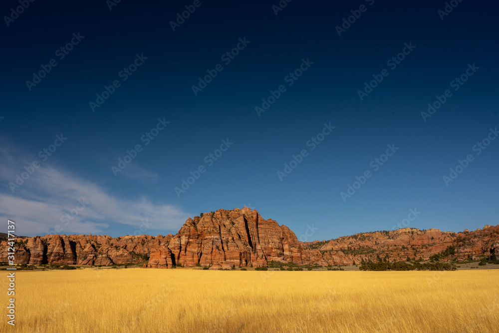 Yellow Grasses Red Rocks and Blue Sky Yellow Grasses Red Rocks and Blue Sky