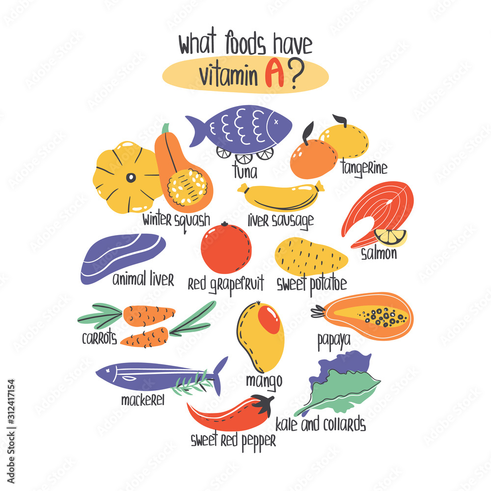 Hand drawn vitamin A or retinol food sources: liver, tangertine, winter squash, carrots, mango, kale, papaya. Vector illustration is for pharmacological or medical poster, brochure.