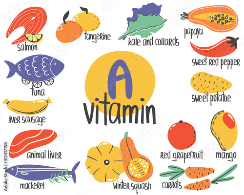 Hand drawn vitamin A or retinol food sources: liver, tangertine, winter squash, carrots, mango, kale, papaya. Vector illustration is for pharmacological or medical poster, brochure.