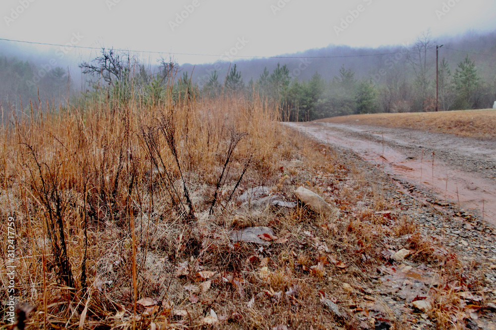 country dirt road