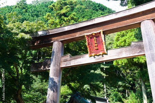 bird feeder for birds