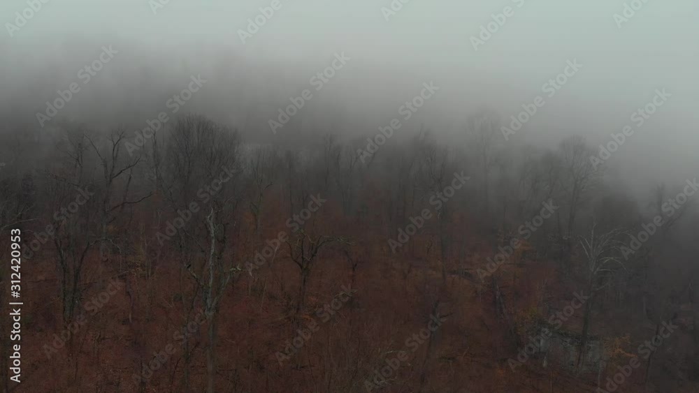 Aerial of Cold Wet Foggy Forest Aerial of Cold Wet Foggy Forest