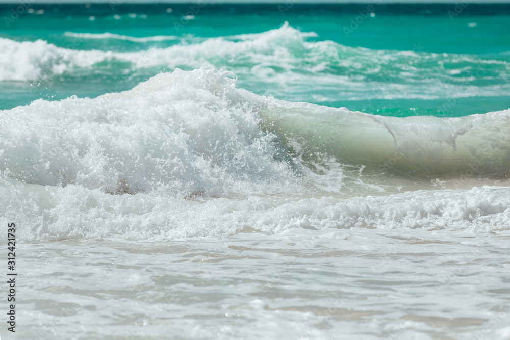 Fototapeta premium Waves crashing on rocks on a beach