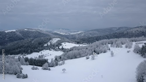 Wallpaper Mural Aerial drone shot above snowy winter landscape and frozen trees Torontodigital.ca