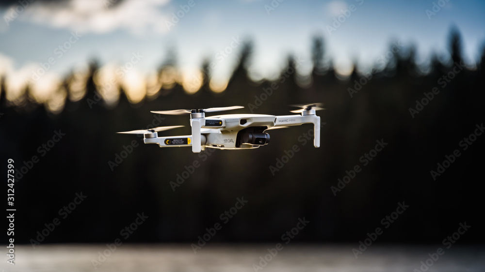 Graz, Austria - December 29 2019. DJI Mavic Mini drone flying in the  countryside above frozen lake on sunny winter day foto de Stock | Adobe  Stock