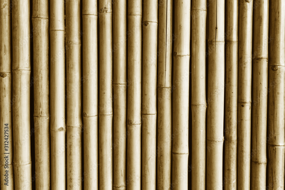 Brown bamboo stick wall. Asian natural jungle fence background. Stock