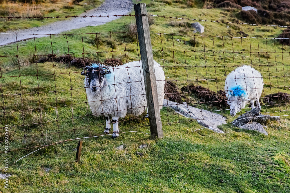 Obraz premium Beautiful View at Hebrides