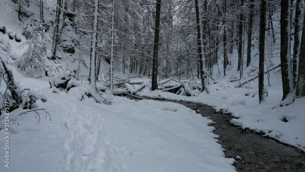 Snowy forest with river in the morning in winter