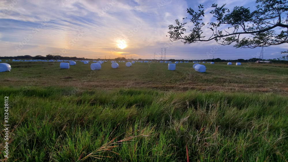 View of hay bales on a pasture field during a beautiful sunrise