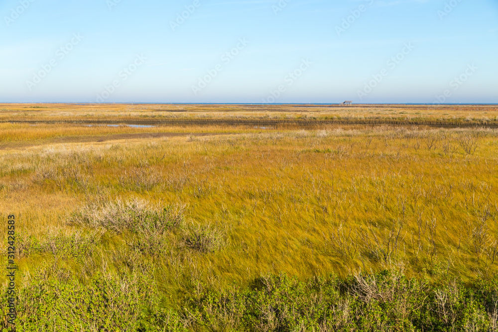 Grasslands of Galveston State Park
