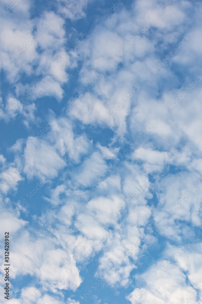 White clouds in the blue sky. Background. Texture. Vertical format