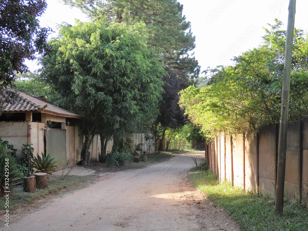 Road in rural area. Interior of Brazil Road in rural area. Interior of Brazil