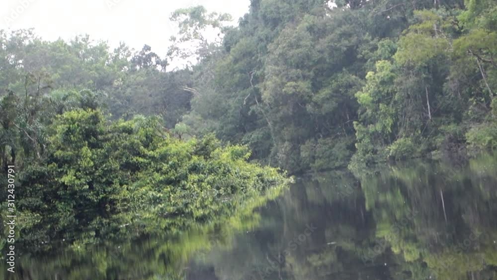 Cuyabeno Wildlife Reserve Cuyabeno Wildlife Reserve