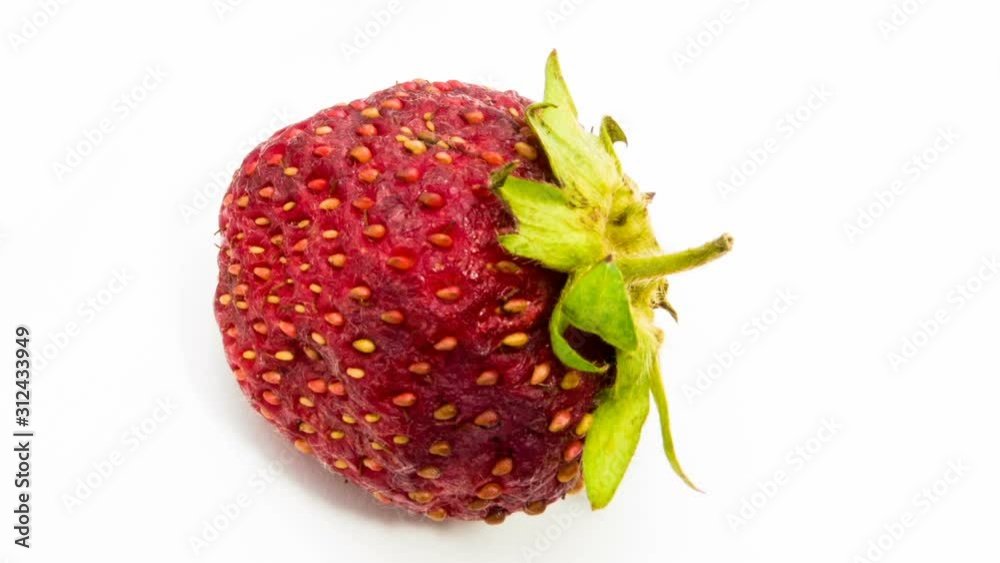 Time lapse of strawberries rotting over white background. Time lapse of strawberries rotting over white background.