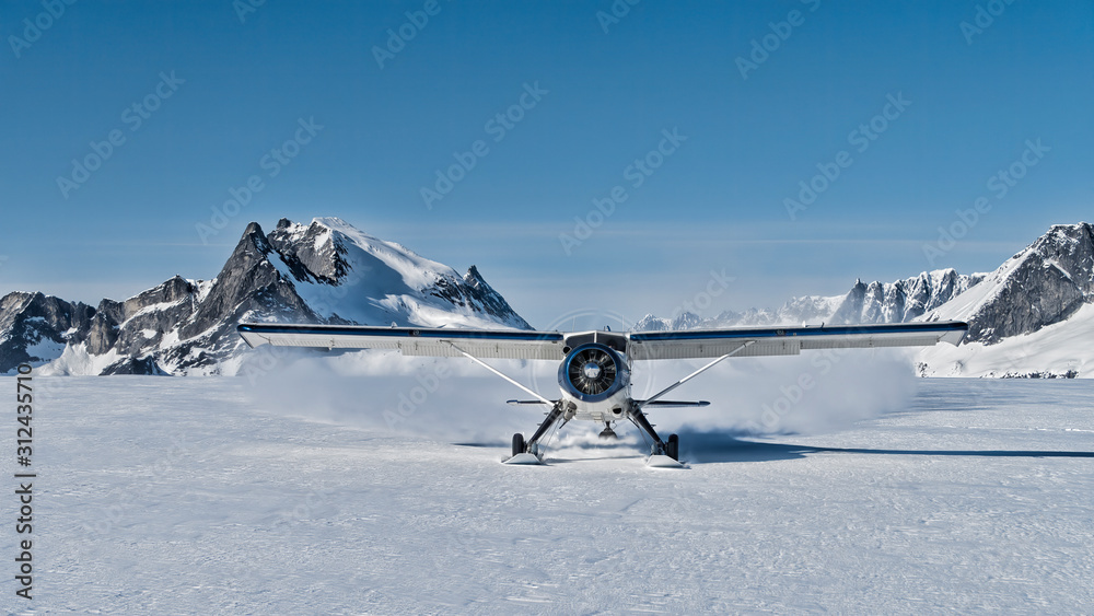 Fototapeta premium Small bush plane with skiis landing on an snow field