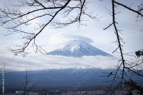 Fuji mountain or Fujisan with frame of branches.