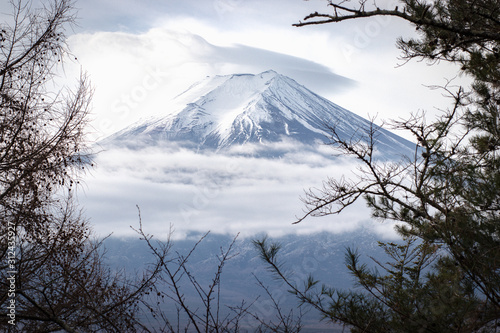 Fuji mountain or Fujisan with frame of branches.