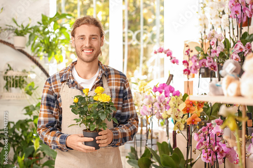 Portrait of male florist in...